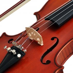 violino stokmans 04 jpg