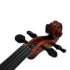 violino stokmans 06 jpg