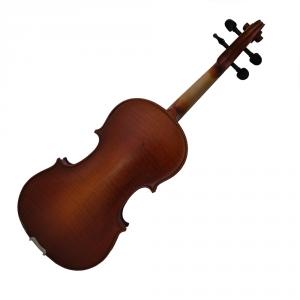 violino stokmans 09 jpg